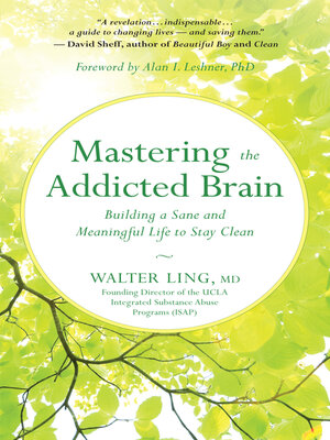 cover image of Mastering the Addicted Brain